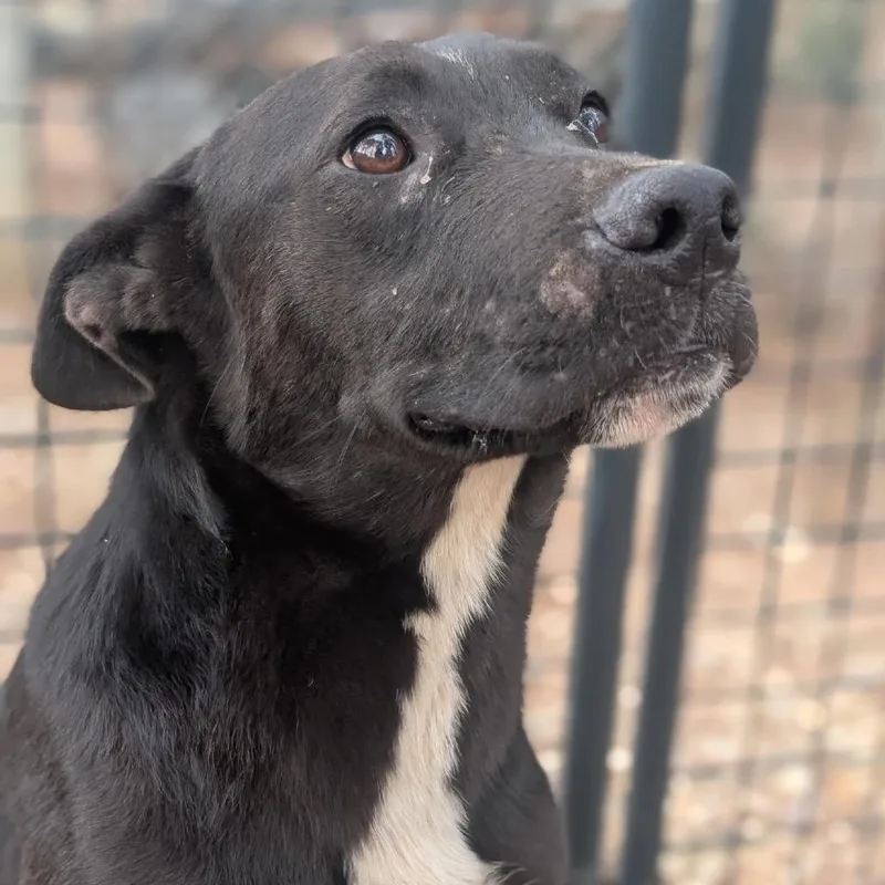 Speedbump thumbnail 3