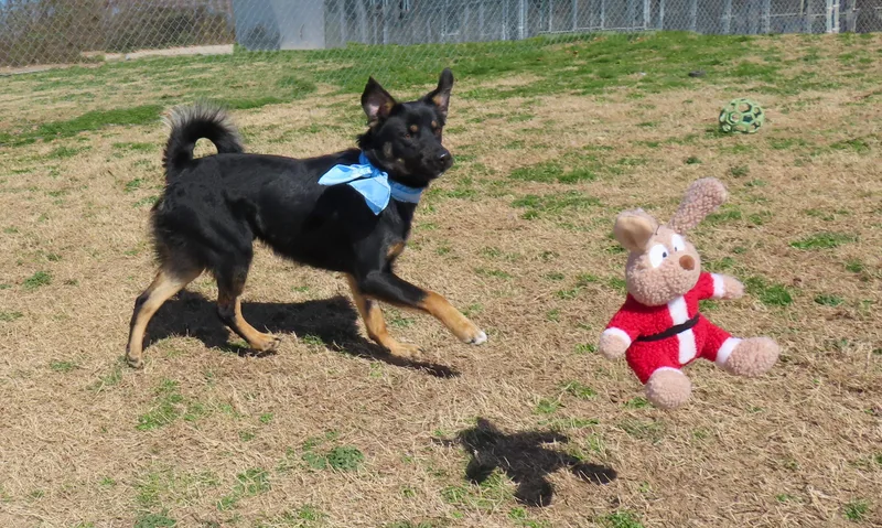 Calvin  C thumbnail 3