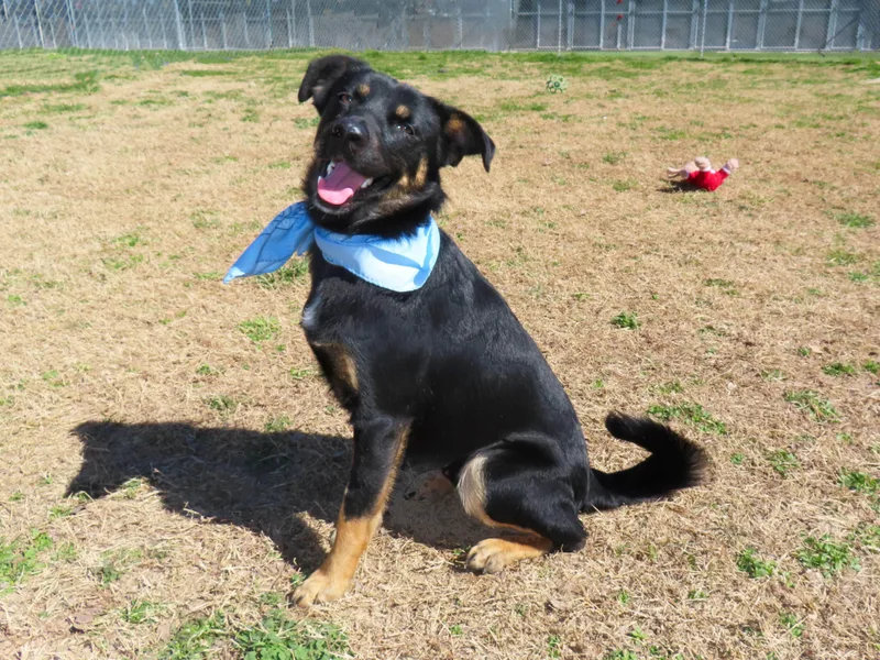 Calvin  C thumbnail 4