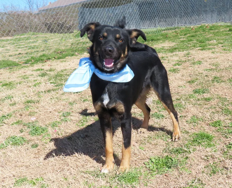 Calvin  C thumbnail 5