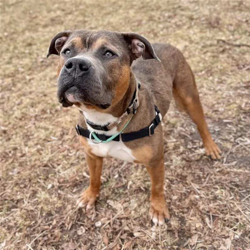 Bay Waves thumbnail 2