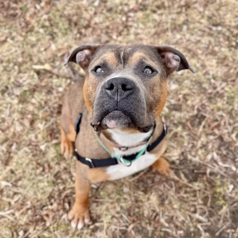 Bay Waves thumbnail 3