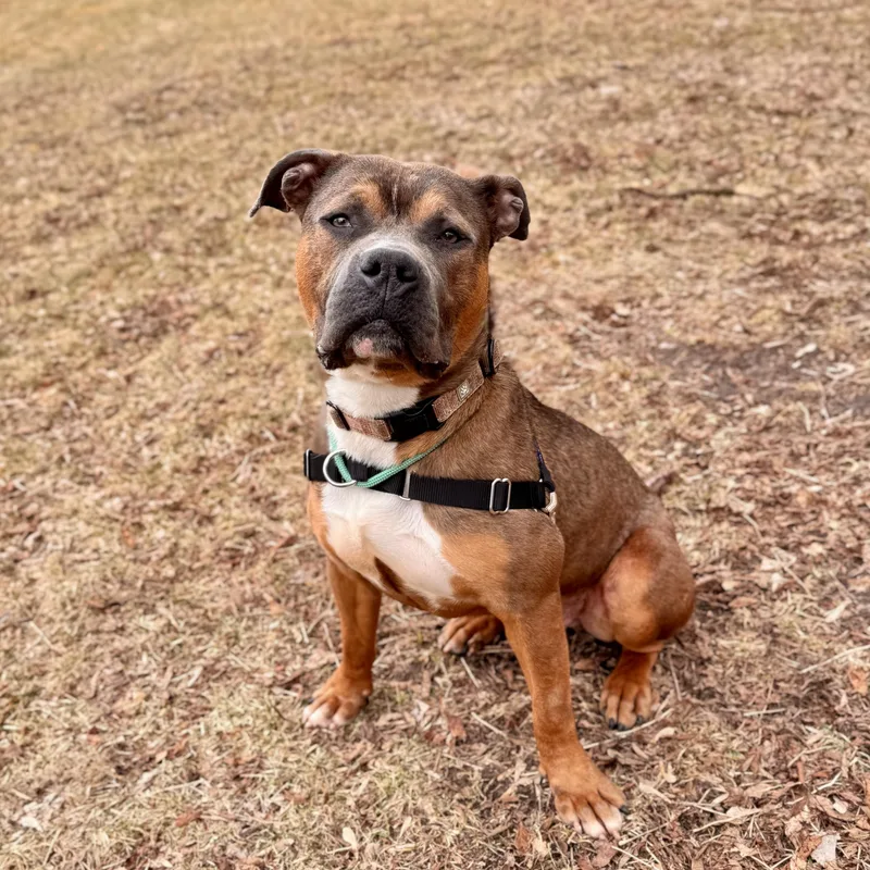 Bay Waves thumbnail 4