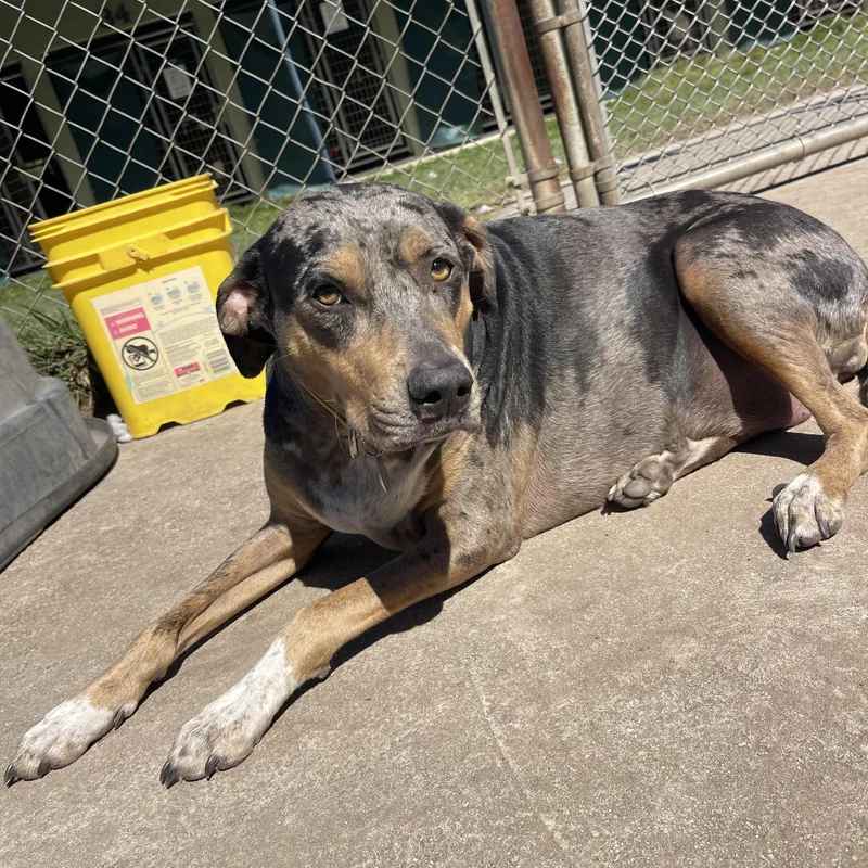 Tarzan & Jane thumbnail 2