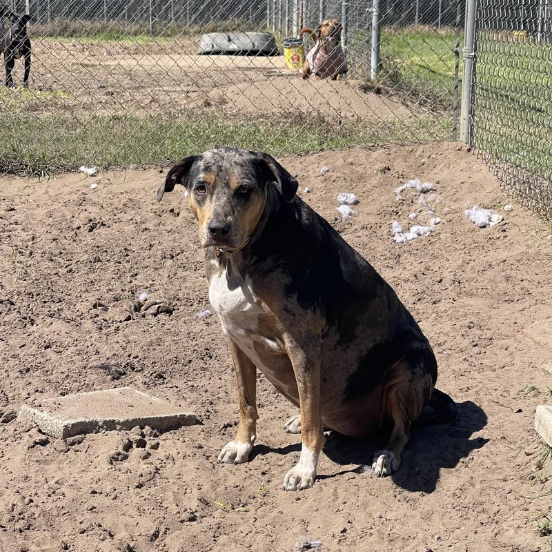 Tarzan & Jane thumbnail 3