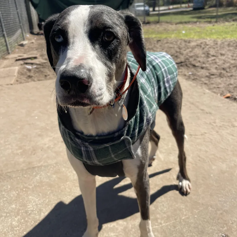 Tarzan & Jane thumbnail 5