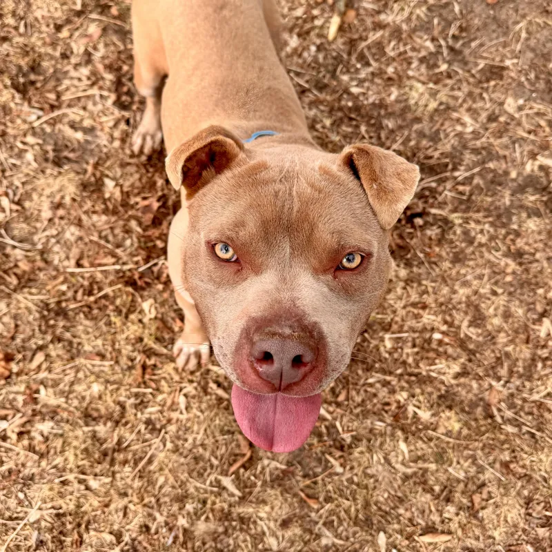 Pittsville thumbnail 2