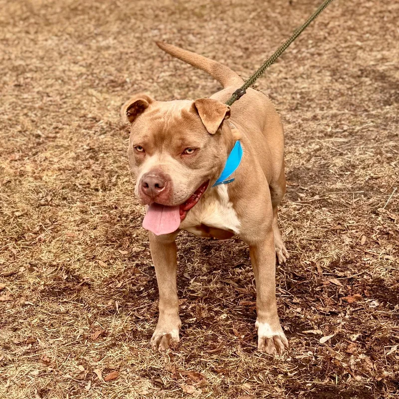 Pittsville thumbnail 3