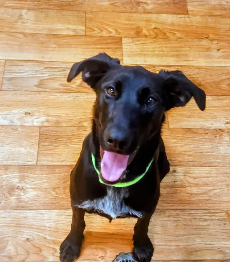 Mabeline thumbnail 2