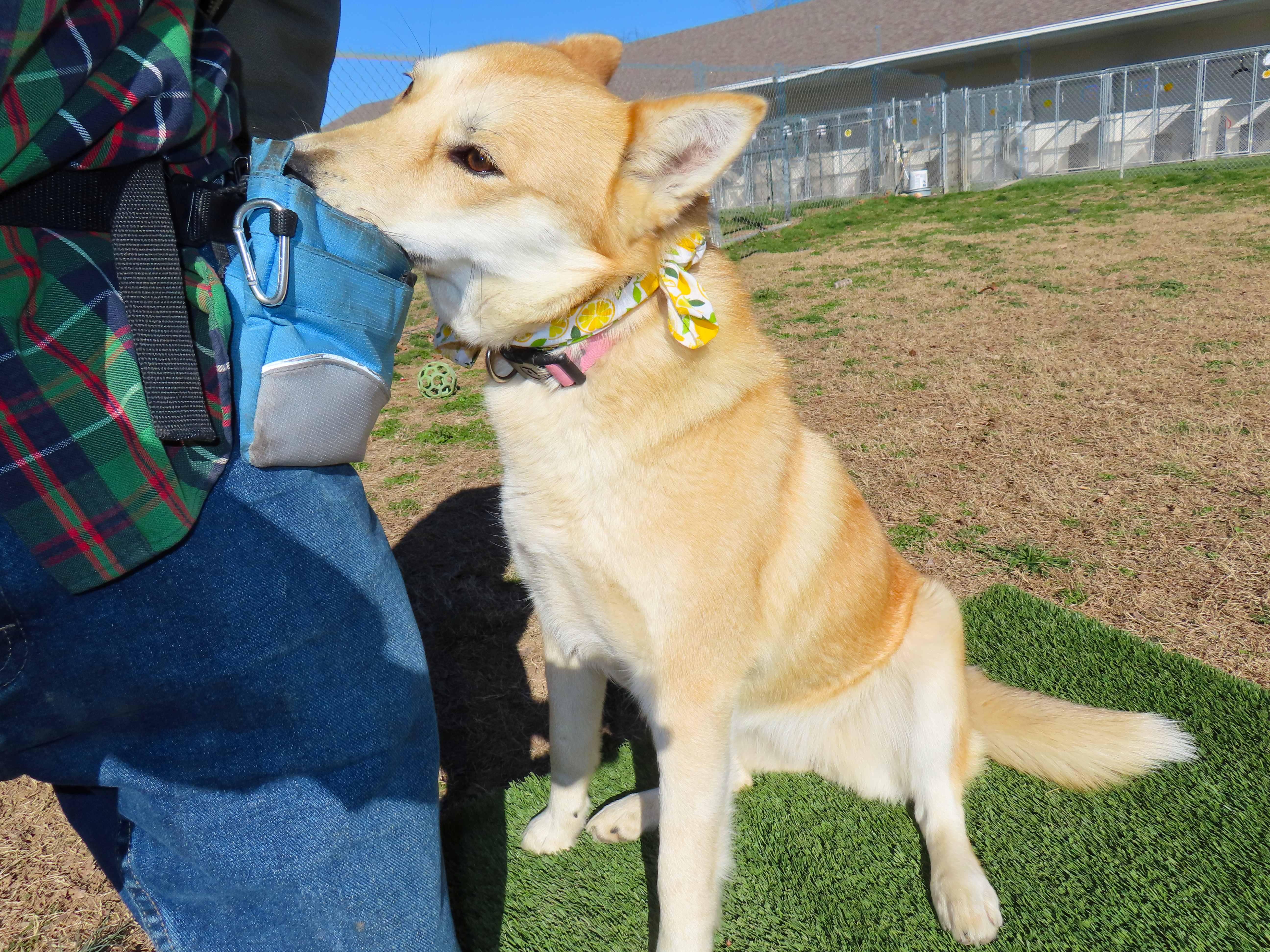 Tulli  C thumbnail 2