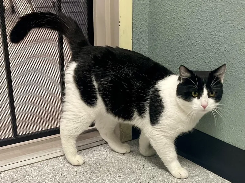 Big Larry thumbnail 2