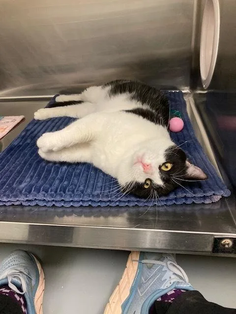 Big Larry thumbnail 6