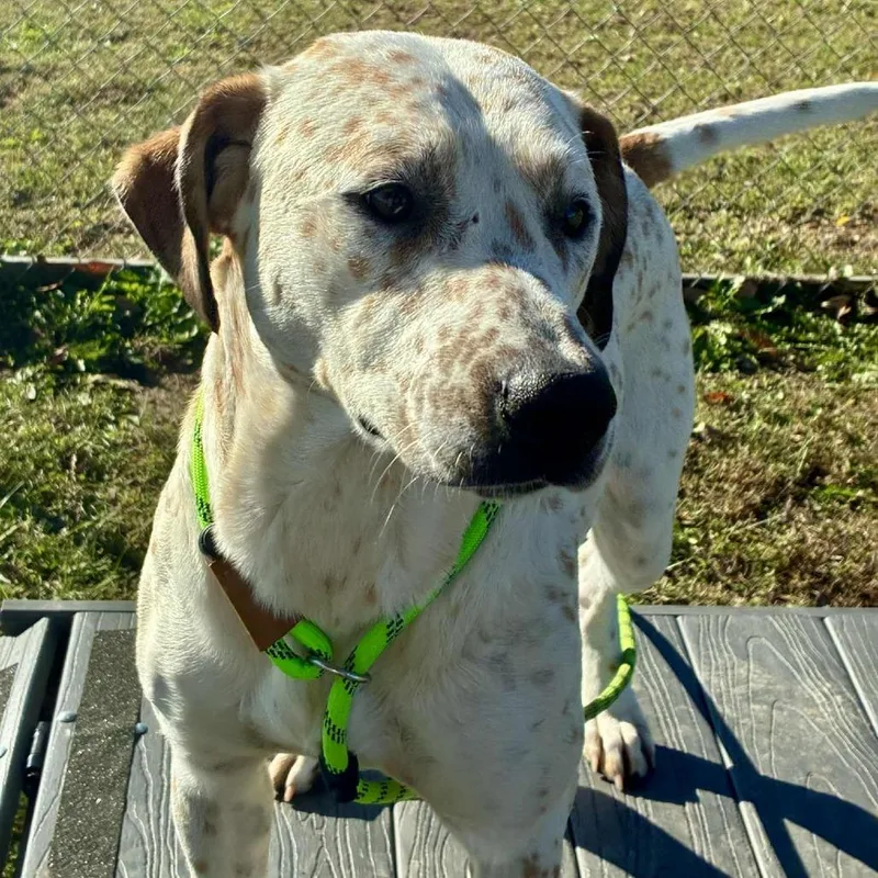 Lorraine thumbnail 2