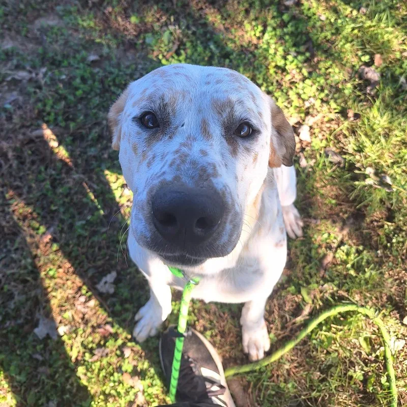 Lorraine thumbnail 3