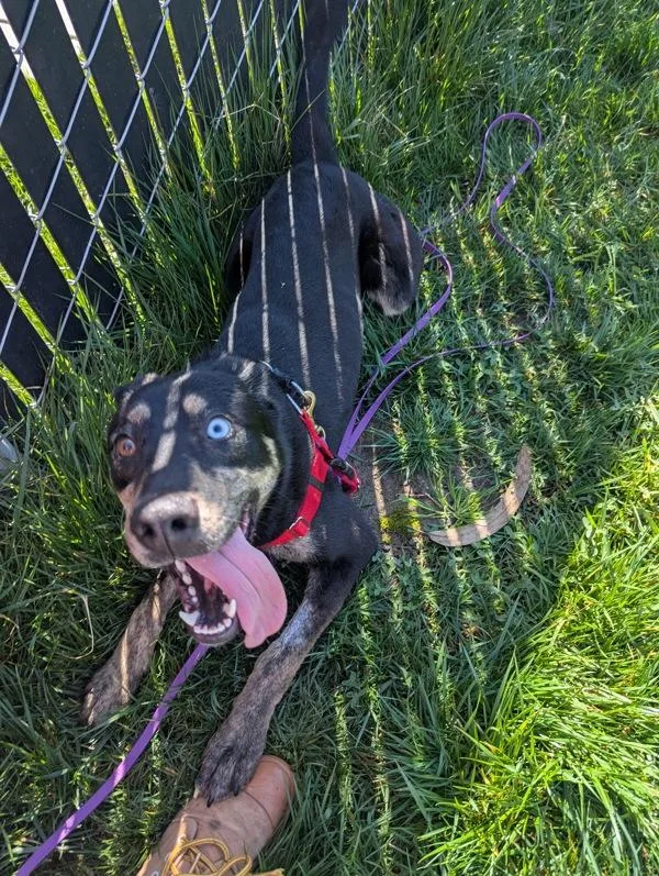 Ciabatta thumbnail 2