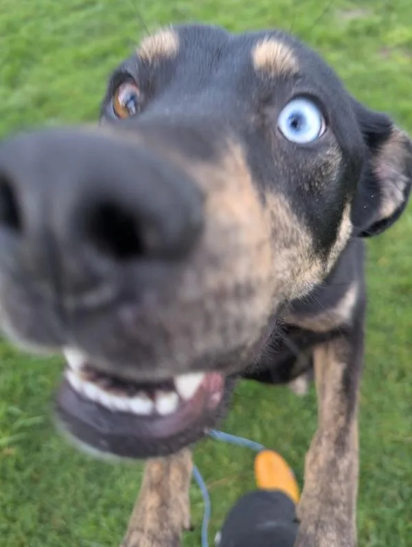 Ciabatta thumbnail 6