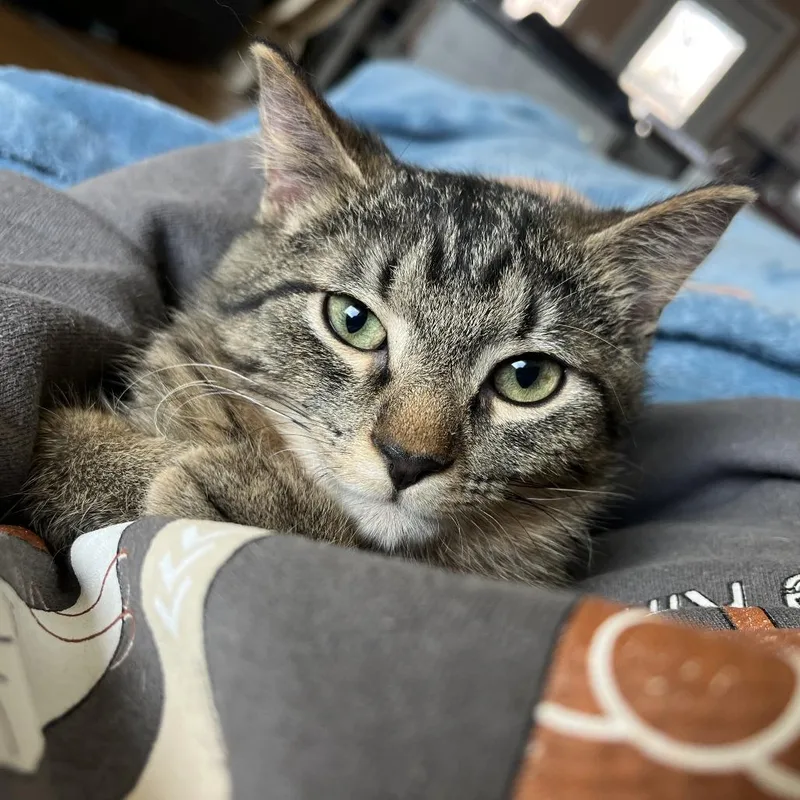 Miracle Man thumbnail 2