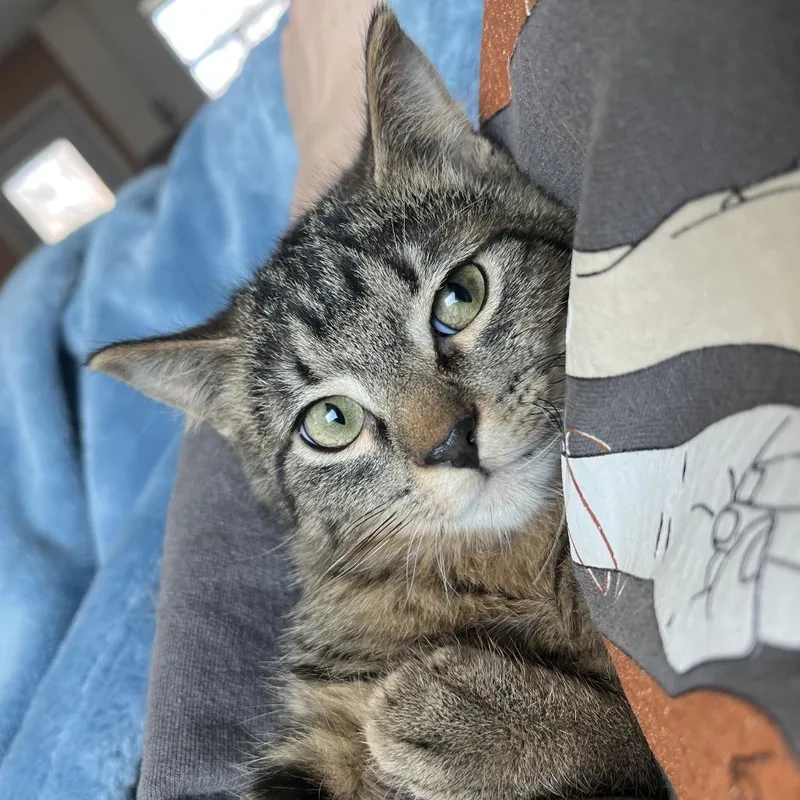 Miracle Man thumbnail 3