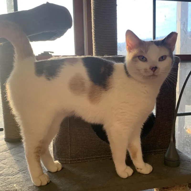 Emily Estep thumbnail 2