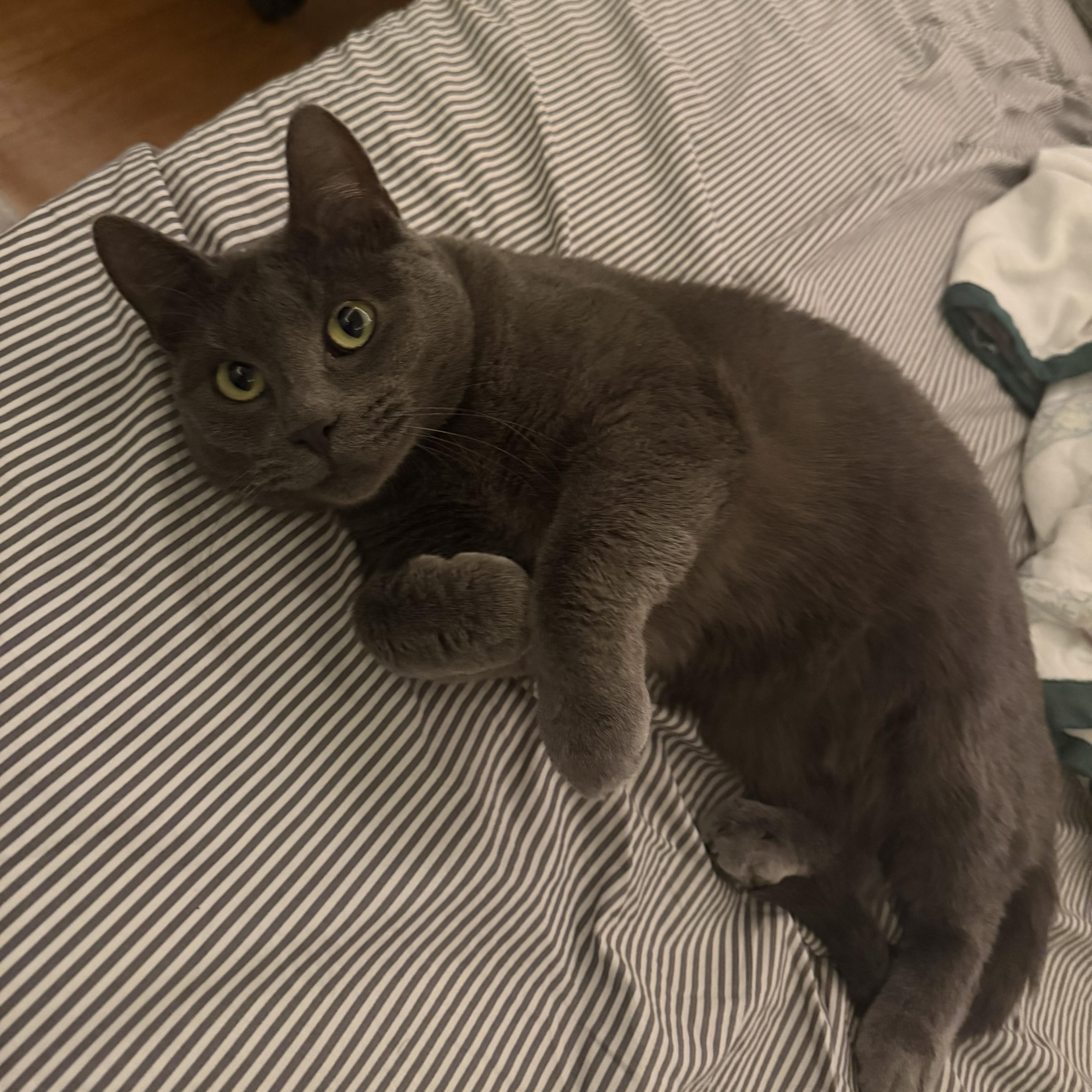 Franklin thumbnail 2