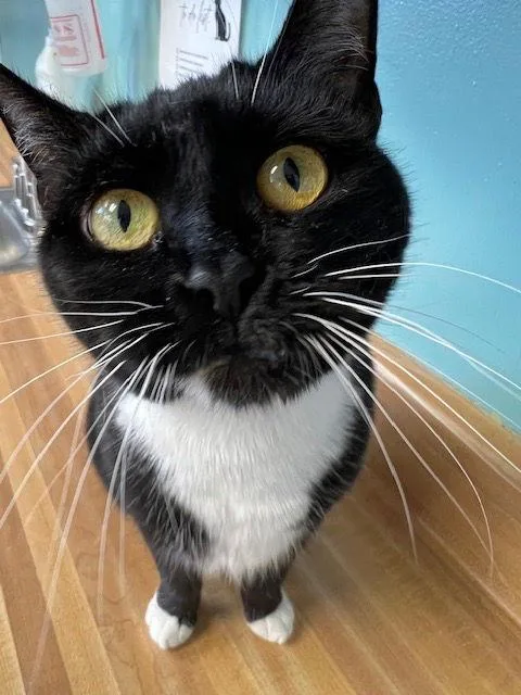 Lucykins thumbnail 2