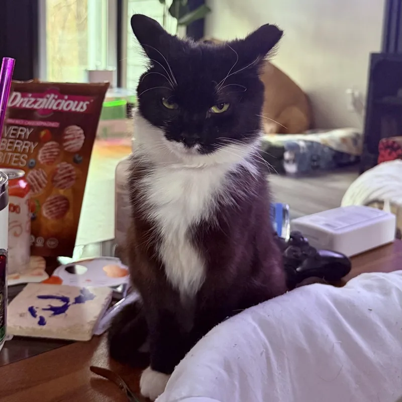 Cardboard thumbnail 6