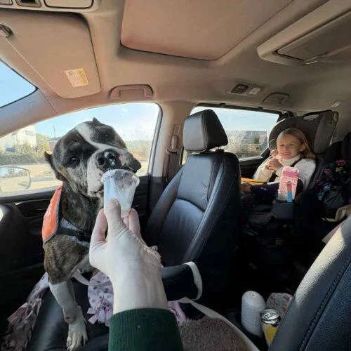 Confetti thumbnail 2