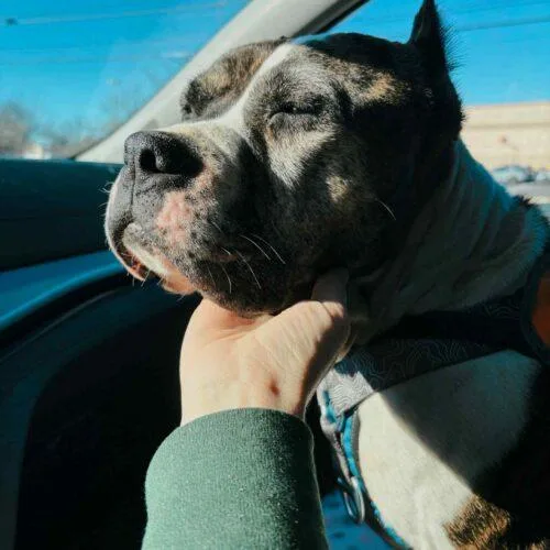 Confetti thumbnail 4