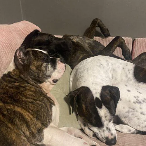 Confetti thumbnail 5