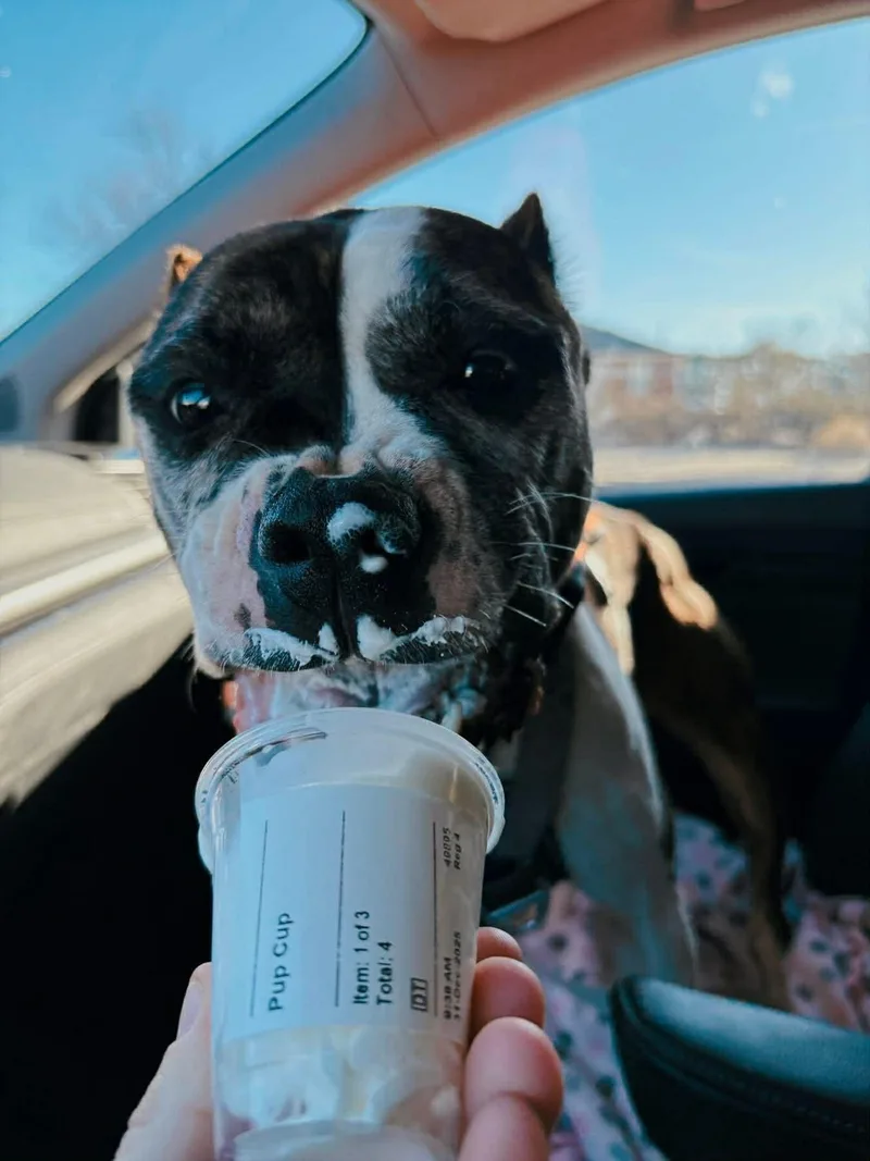 Confetti thumbnail 6