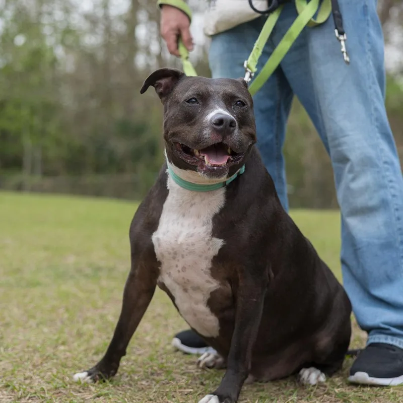 Hamilton thumbnail 3