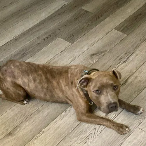 Franklin thumbnail 2