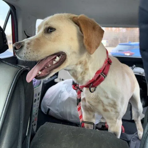 Gucci Man thumbnail 2