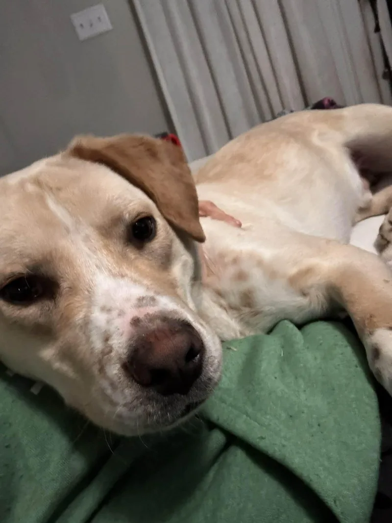 Gucci Man thumbnail 3