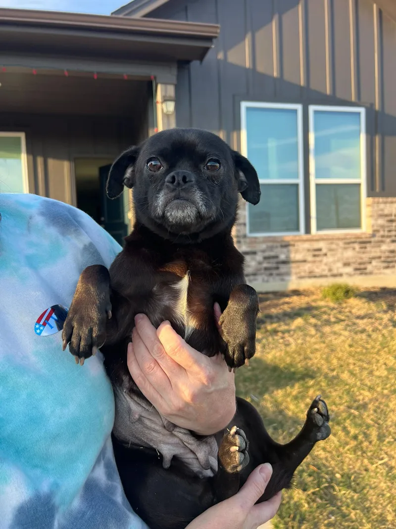 Peony & Priscilla thumbnail 2