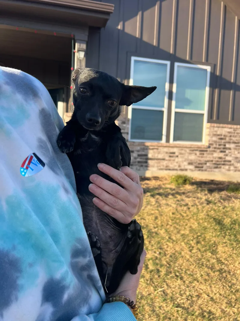 Peony & Priscilla thumbnail 4