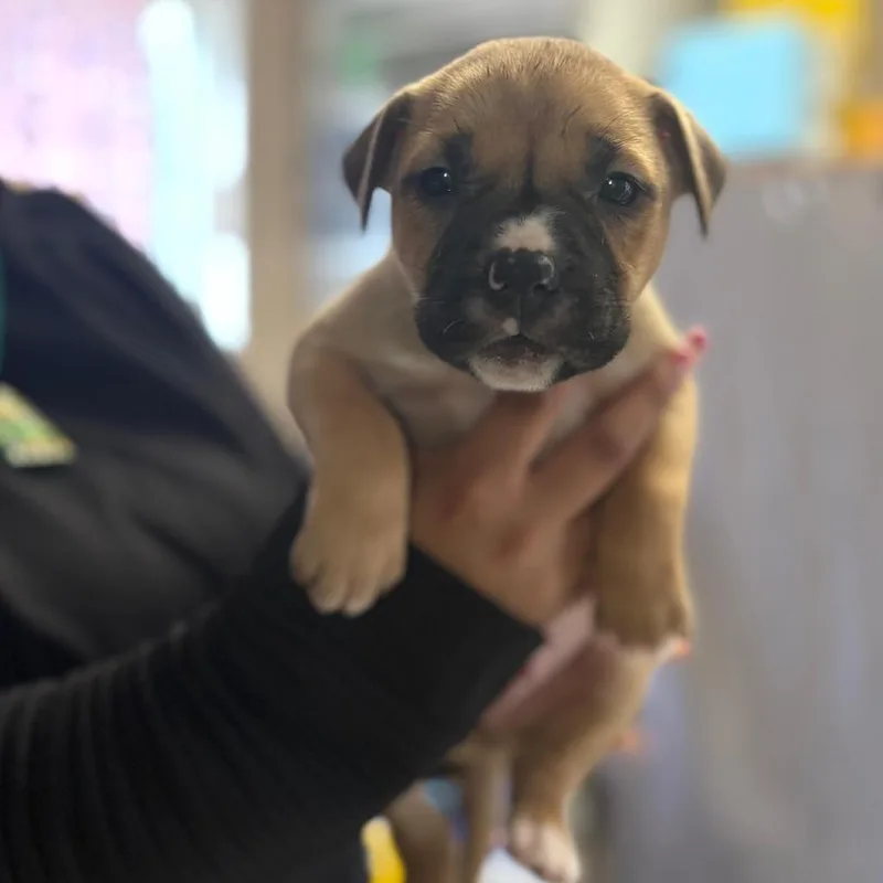 Bedtime Bearcccas thumbnail 2