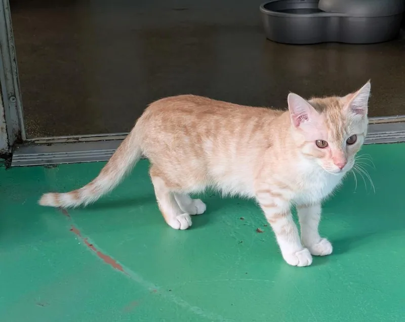 Two Percent thumbnail 2