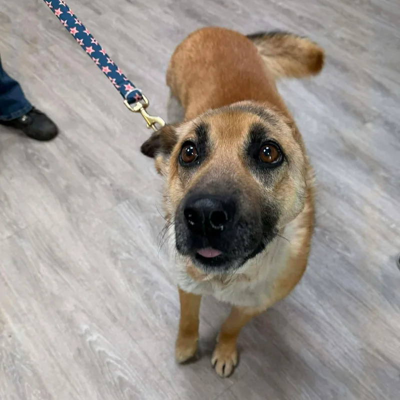 Van Gogh thumbnail 3