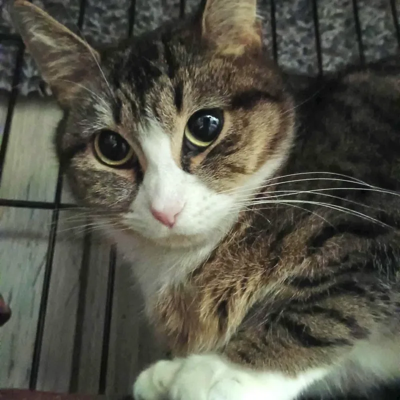 Sunshine thumbnail 2