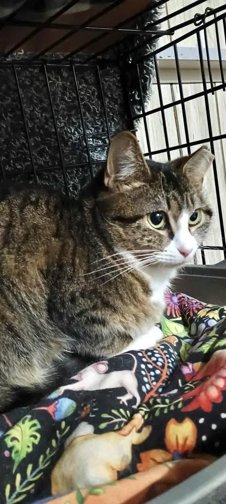 Sunshine thumbnail 4