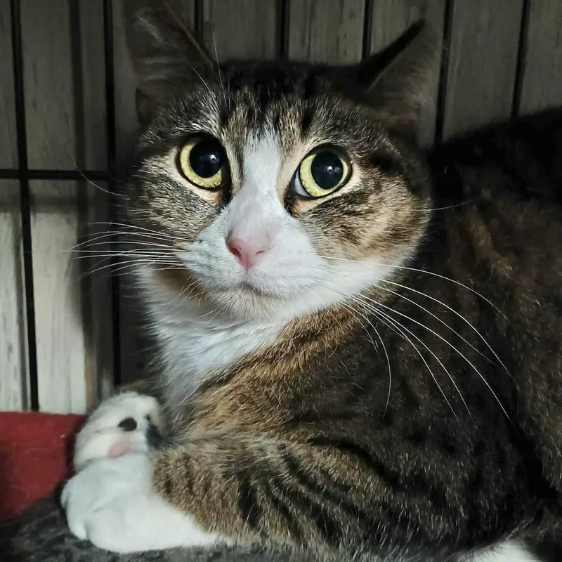 Sunshine thumbnail 5