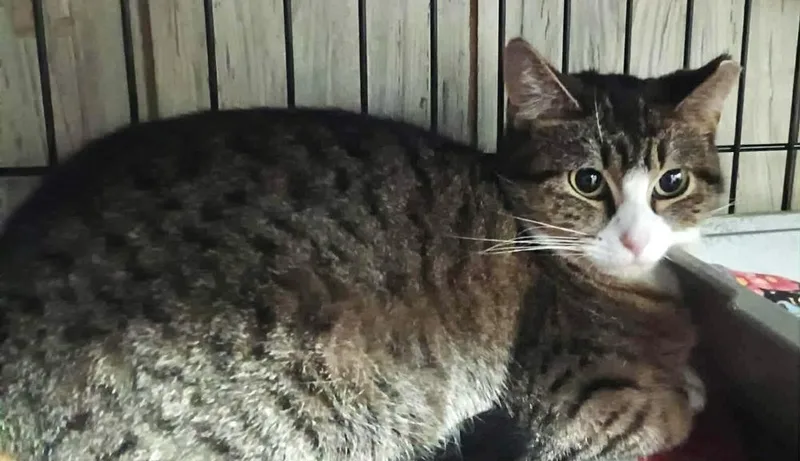 Sunshine thumbnail 6