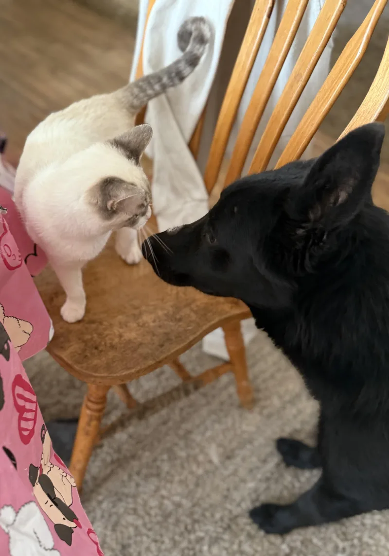 Hughcoming Soon thumbnail 3