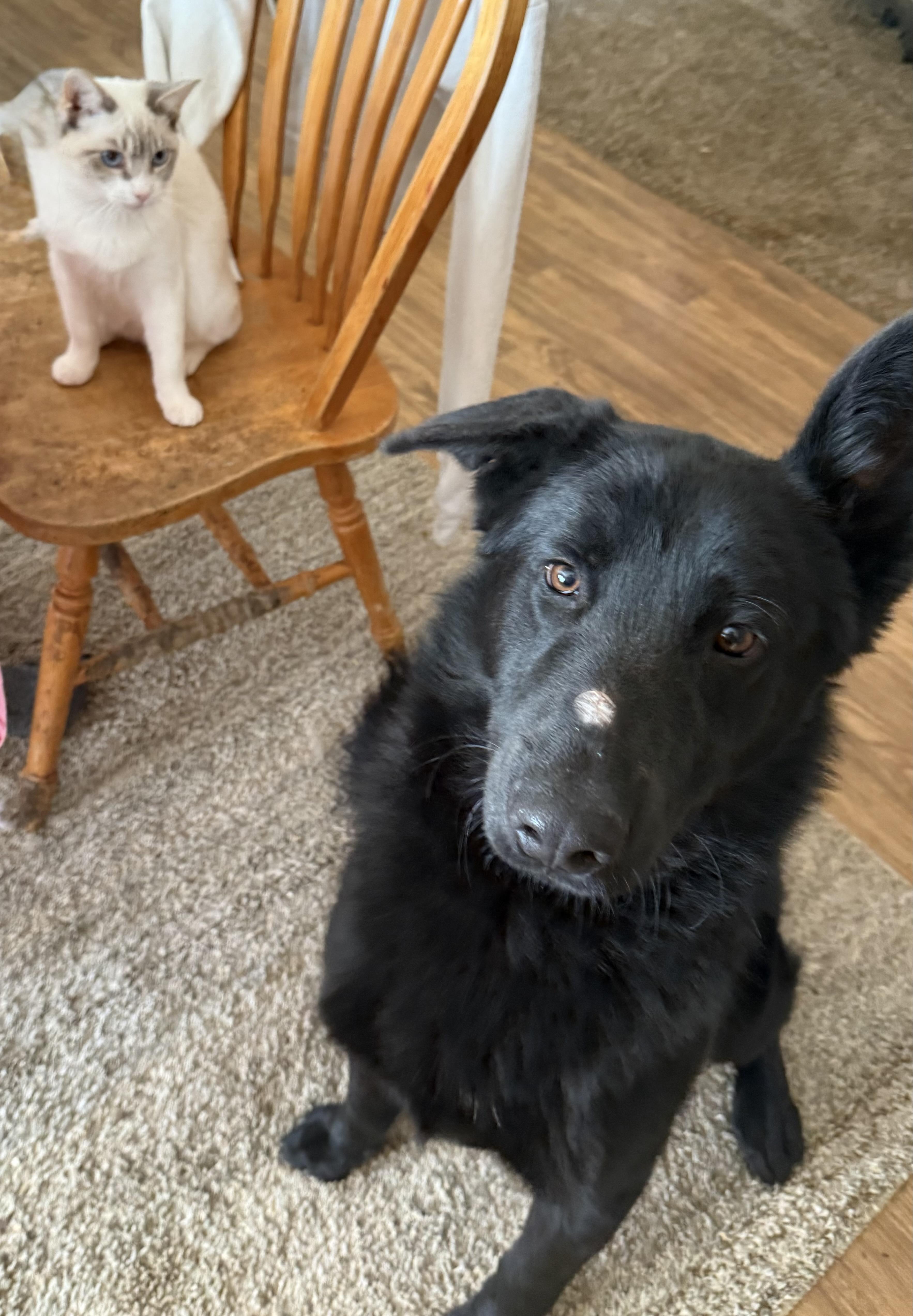 Hughcoming Soon thumbnail 4