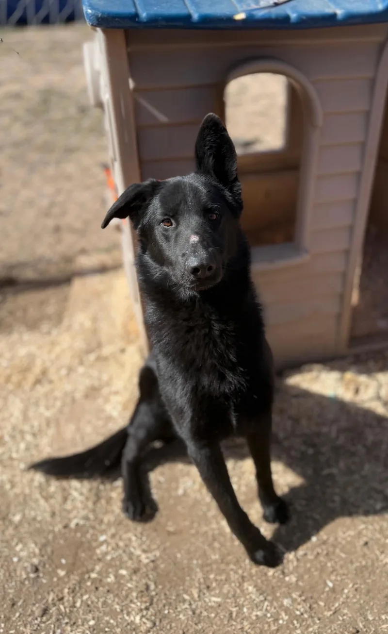 Hughcoming Soon thumbnail 6