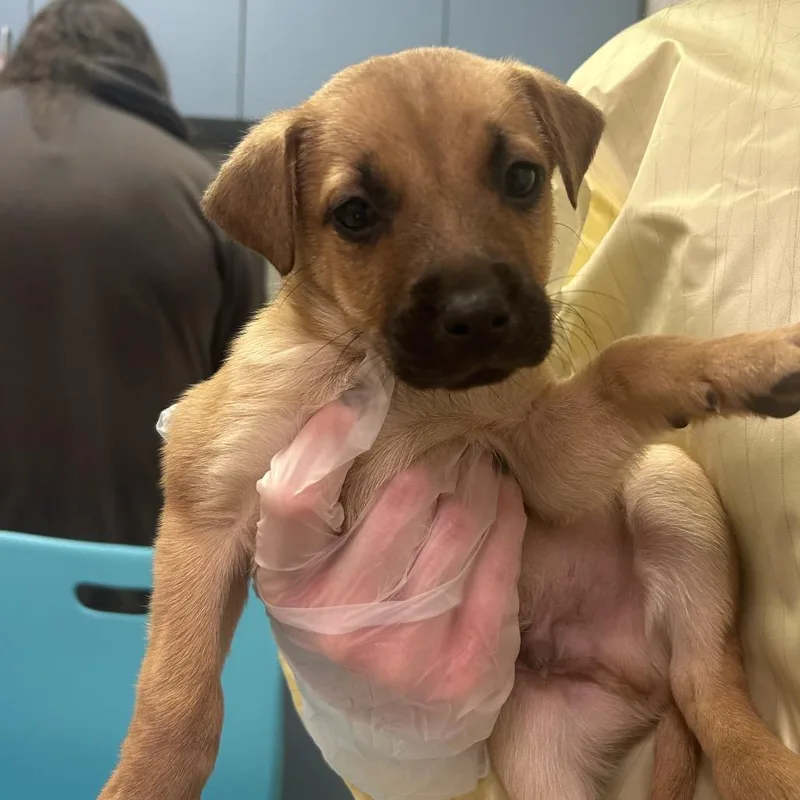 Tuned In Freestyle thumbnail 2