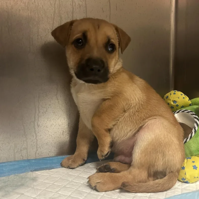 Tuned In Freestyle thumbnail 3