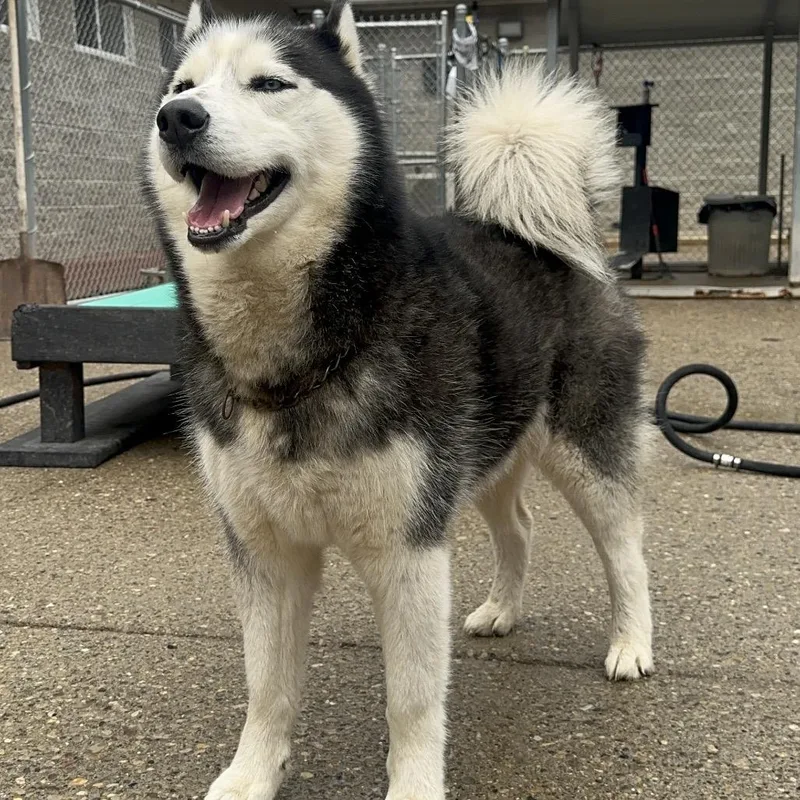 Russia's Ilya Rozanov thumbnail 2