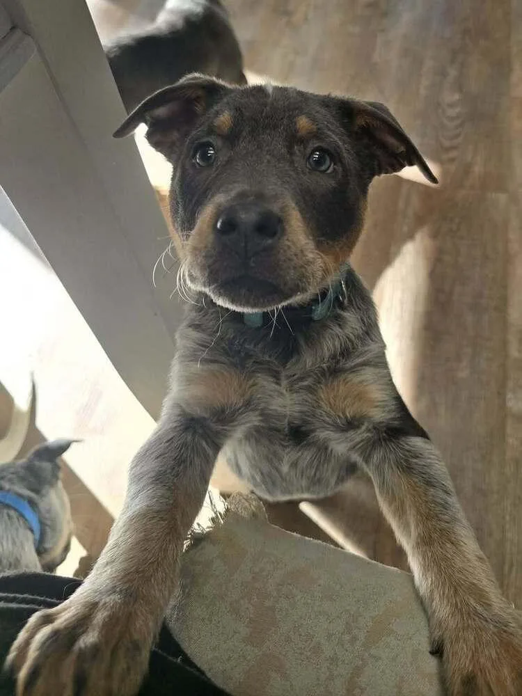 Bryant Aka Onyx thumbnail 3